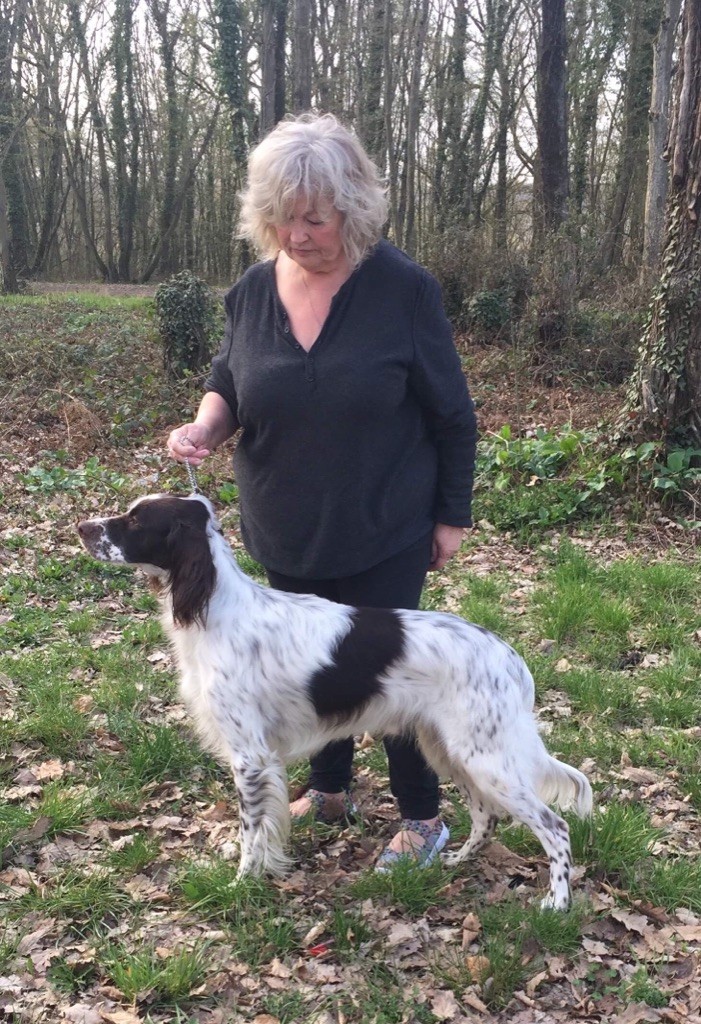CH. Mozzy de L'Arche D'Urk